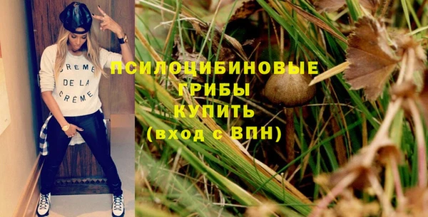 хмурый Михайловск