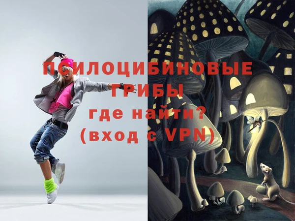 бошки Медногорск