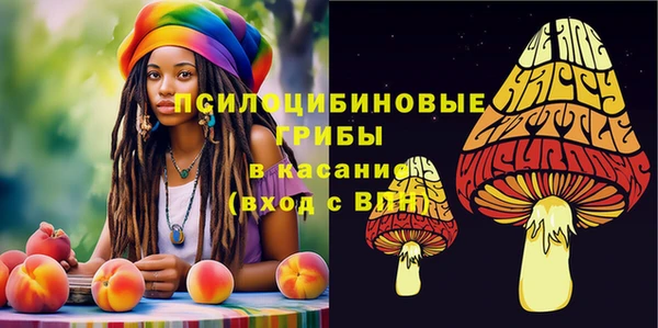 хмурый Михайловск
