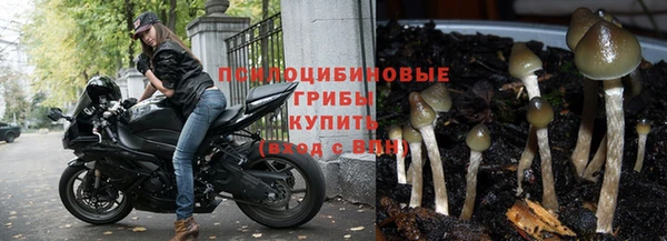 СК Мегион
