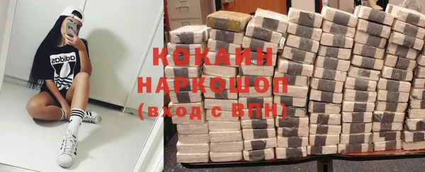 хмурый Михайловск