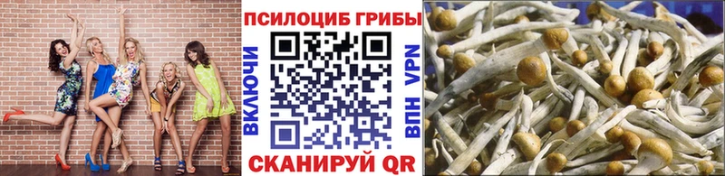 Галлюциногенные грибы Psilocybe  Пермь 